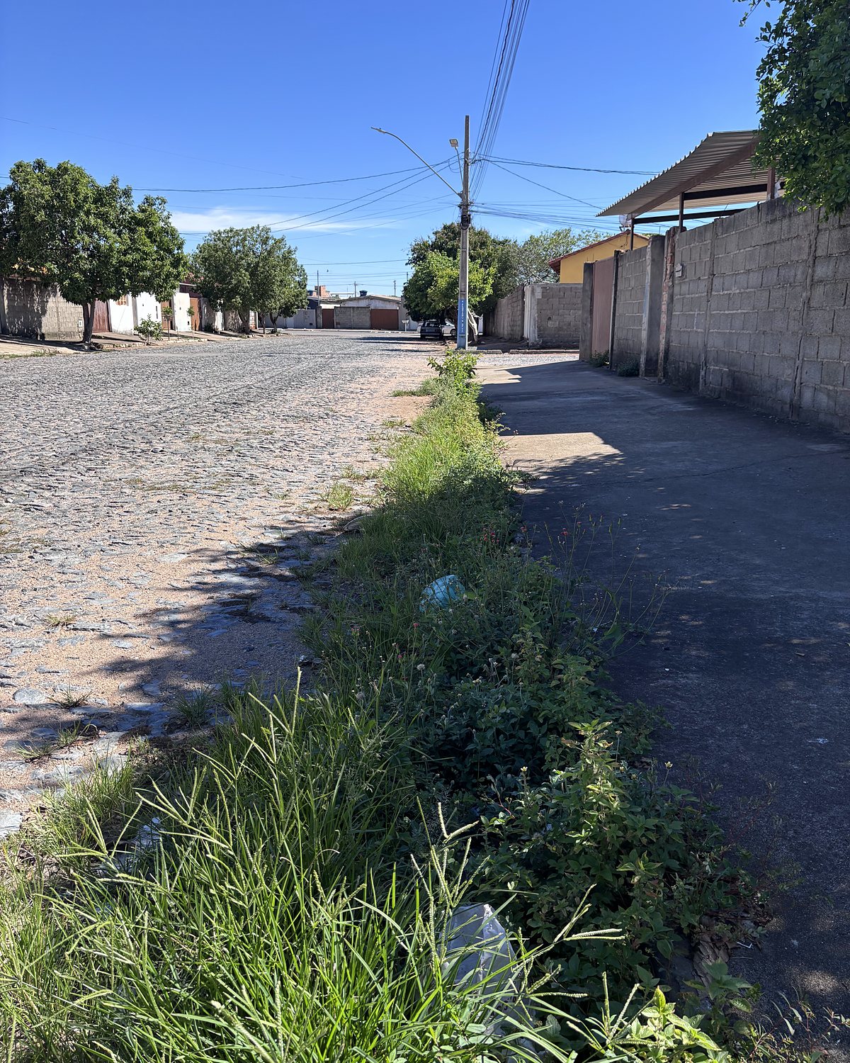 Antes: faixa de mato ao longo da sarjeta
