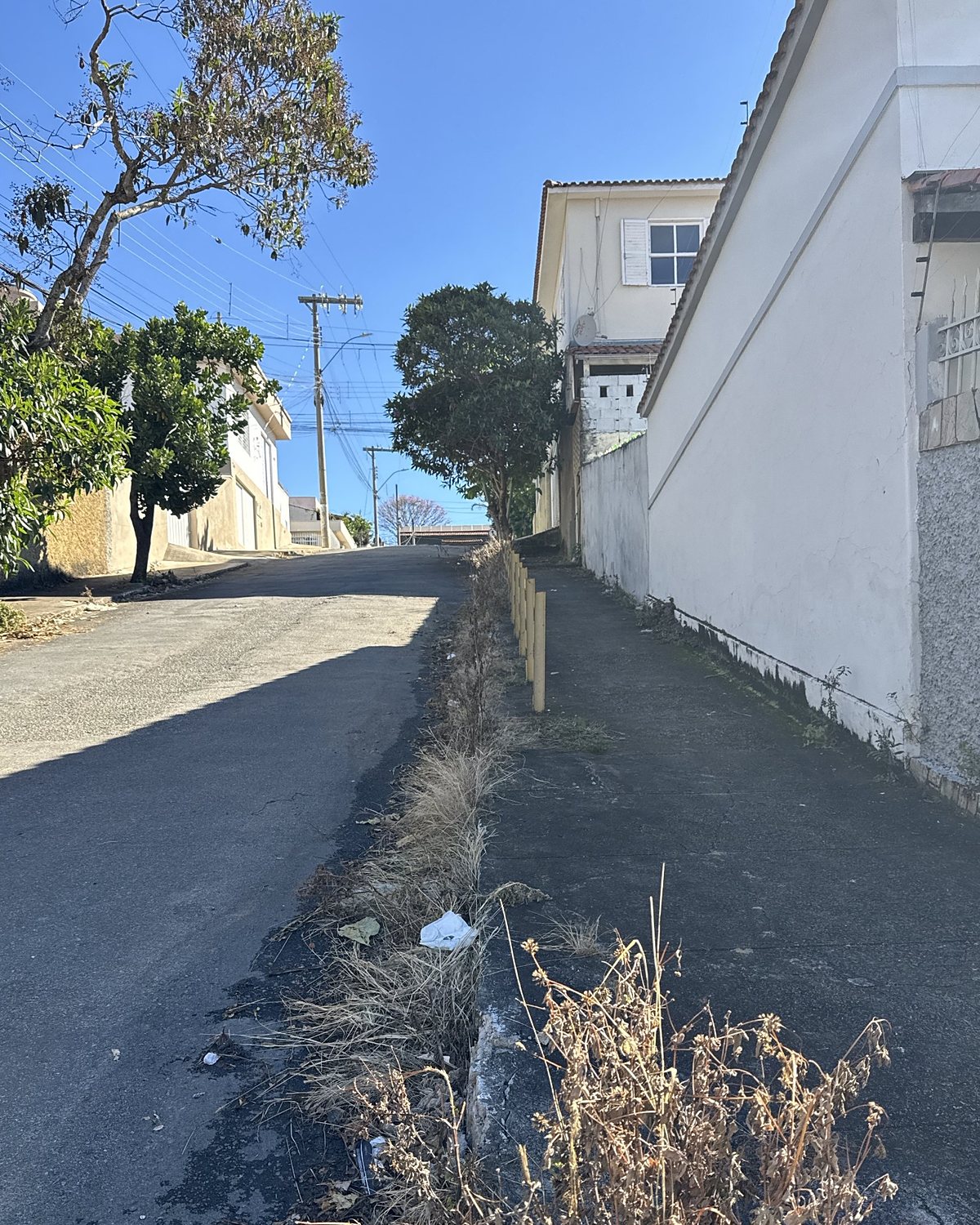 Depois: a mesma área com a vegetação seca após a capina elétrica.