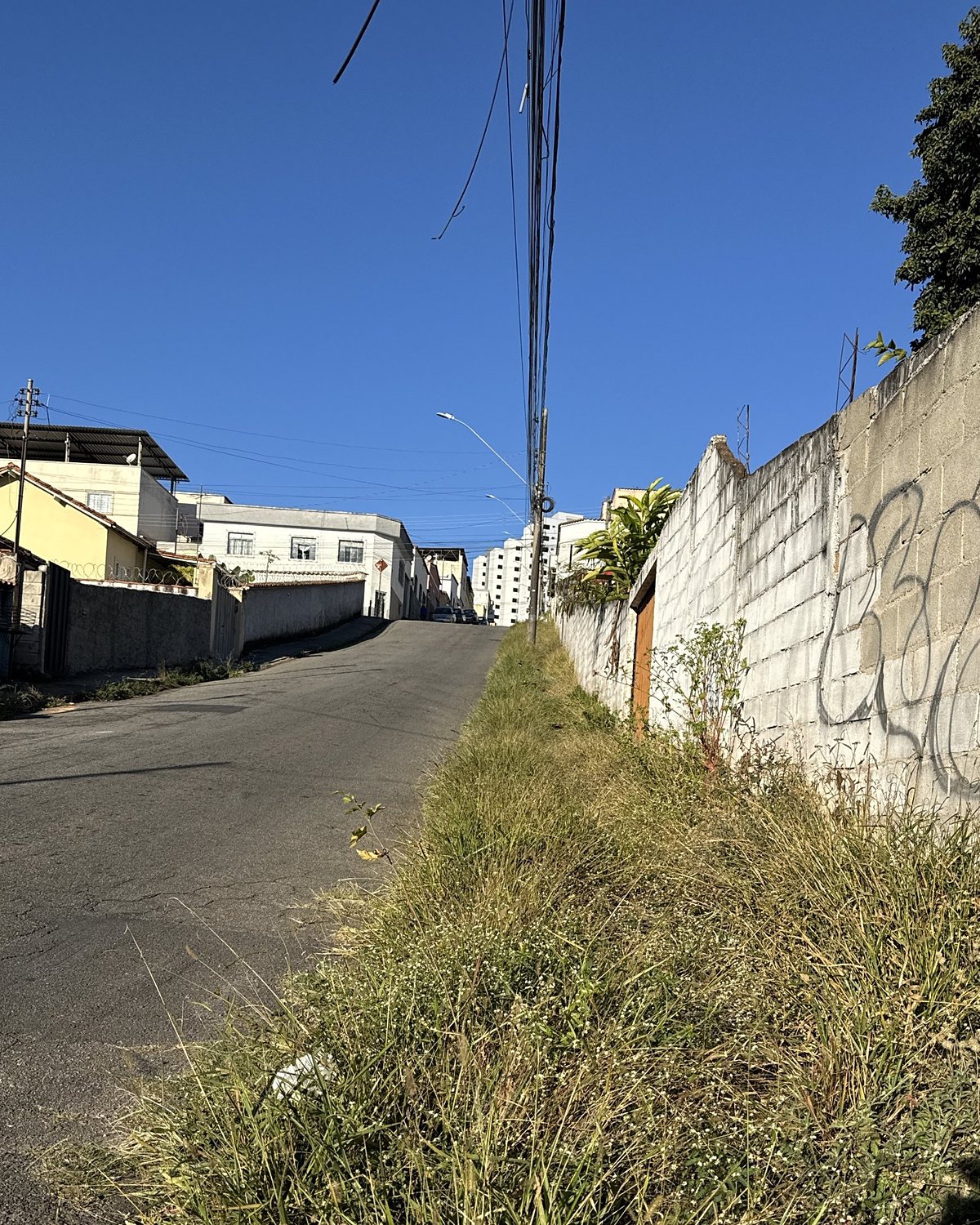 Antes: capim em toda a largura da calçada