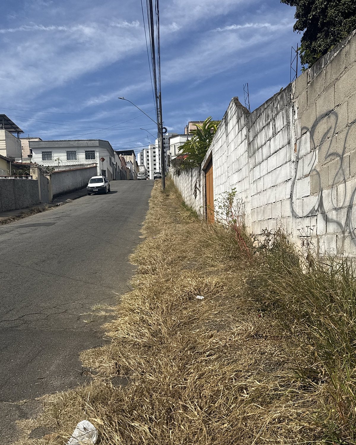 Depois: a mesma área com a vegetação seca após a capina elétrica.