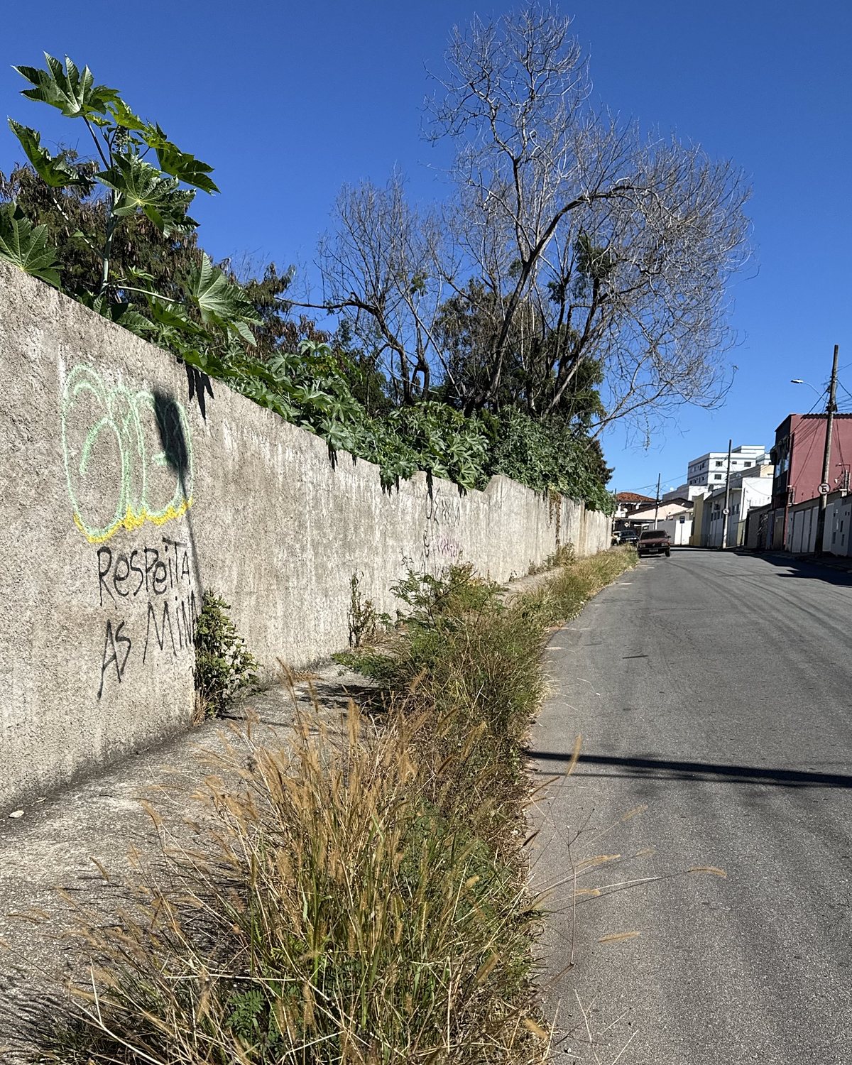 Antes: capim alto no encontro da calçada com a rua