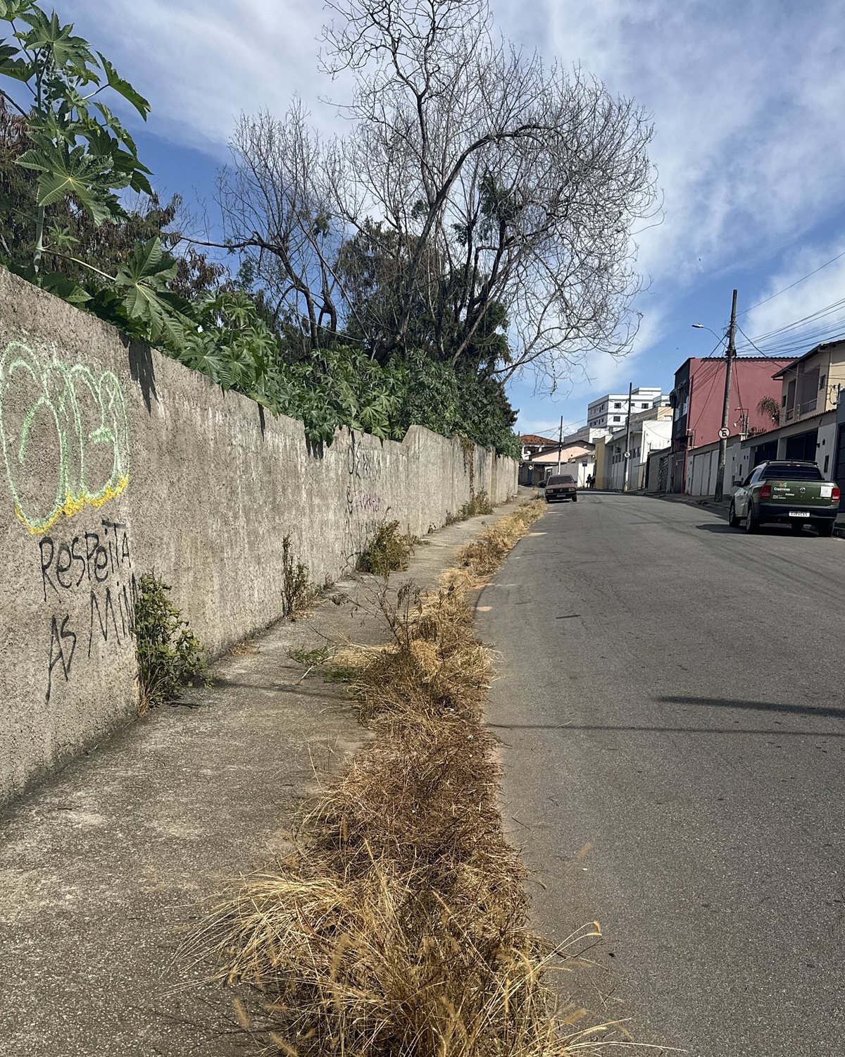 Depois: a mesma área com a vegetação seca após a capina elétrica.